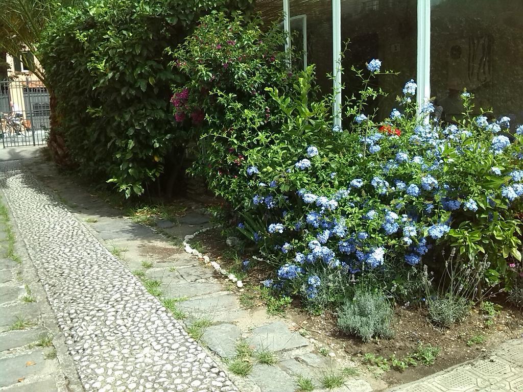 Il Nido Sul Mare A Forte Dei Marmi Habitación foto